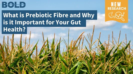 What is Prebiotic Fibre and Why is it Important for Your Gut Health?