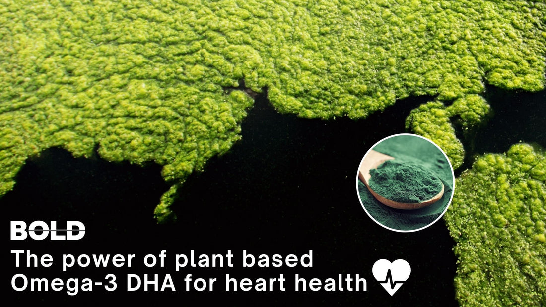 Plant based Omega-3 and heart health