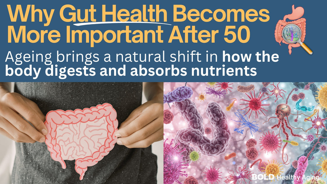 Gut Friendly Protein Powder: A Gentle, Effective Way to Support Healthy Ageing