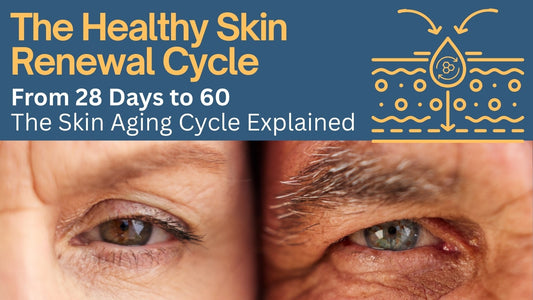 Skin Cell Renewal: How Aging Slows the 28-Day Cycle and What to Do About It