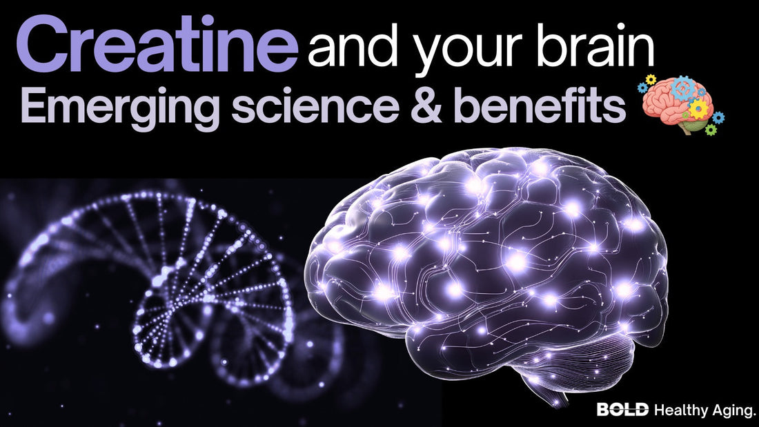 Benefits of creatine on the brain: can it help brain fog and focus?